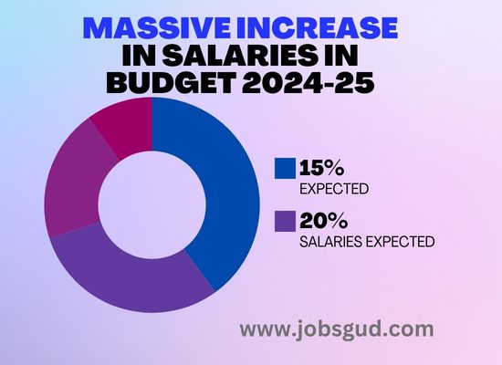 Massive Increase in Salaries in Budget 2024-25