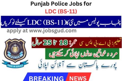 Police Jobs LDC BS 11
