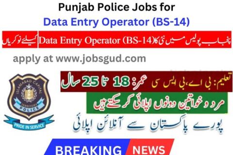 Punjab Police Jobs Data Entry Operator (BS-14)