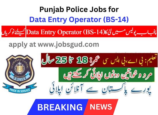 Punjab Police Jobs Data Entry Operator (BS-14)