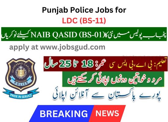 Punjab Police Jobs Naib Qasid (BS-01)