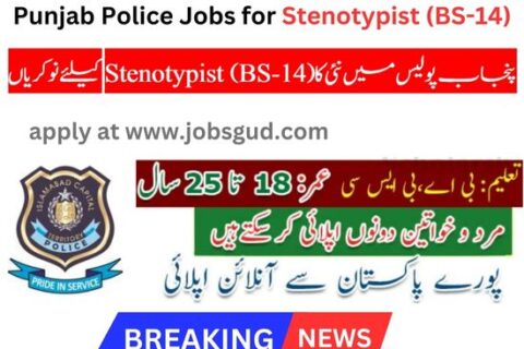 Punjab Police Jobs Stenotypist (BS-14)