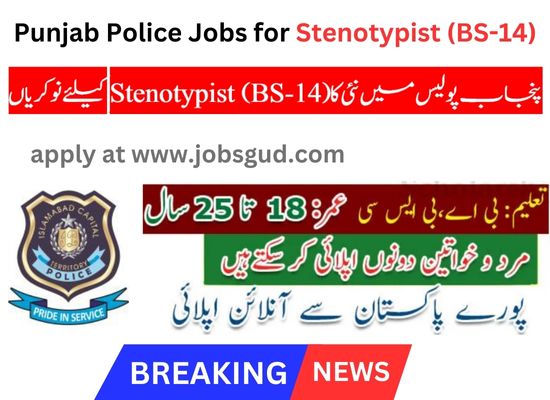 Punjab Police Jobs Stenotypist (BS-14)