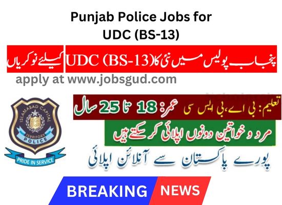 Punjab Police Jobs UDC (BS-13)