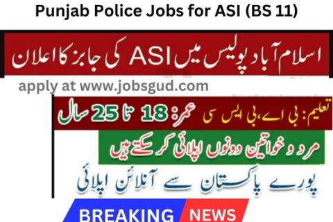 Punjab Police Jobs for ASI BS 11