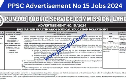 Apply Now for PPSC Advertisement No 15 Jobs 2024