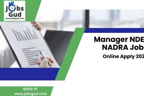 Manager NDEL NADRA Jobs Online Apply 2025Manager NDEL NADRA Jobs Online Apply 2025