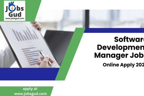 Software Development Manager Jobs, Online Apply 2025