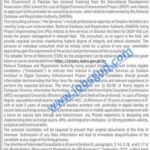 Latest NADRA Junior Executive (Data Entry Operator) Jobs, Online Apply 2025