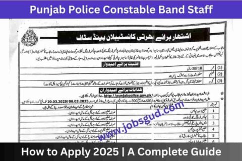 Punjab Police Constable Band Staff Jobs, Online Apply 2025
